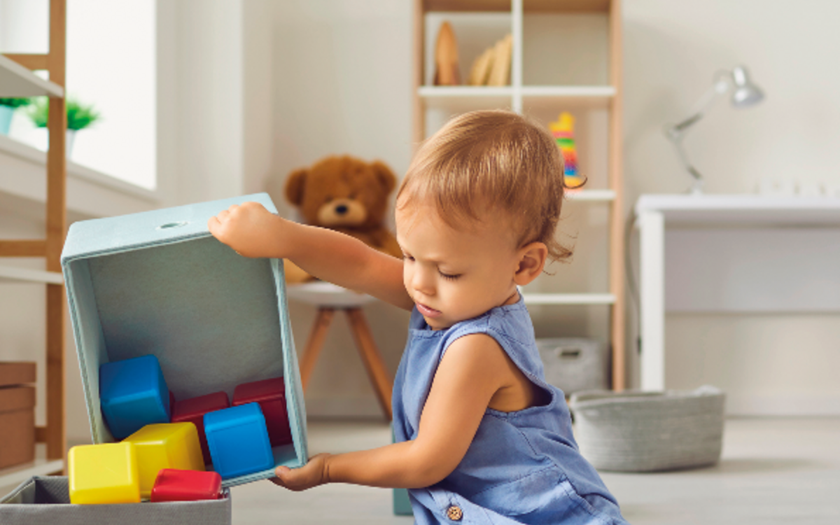 Brochure formation continue